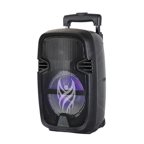 Blackmore BJS-216 Portable Speaker - 800-Watts